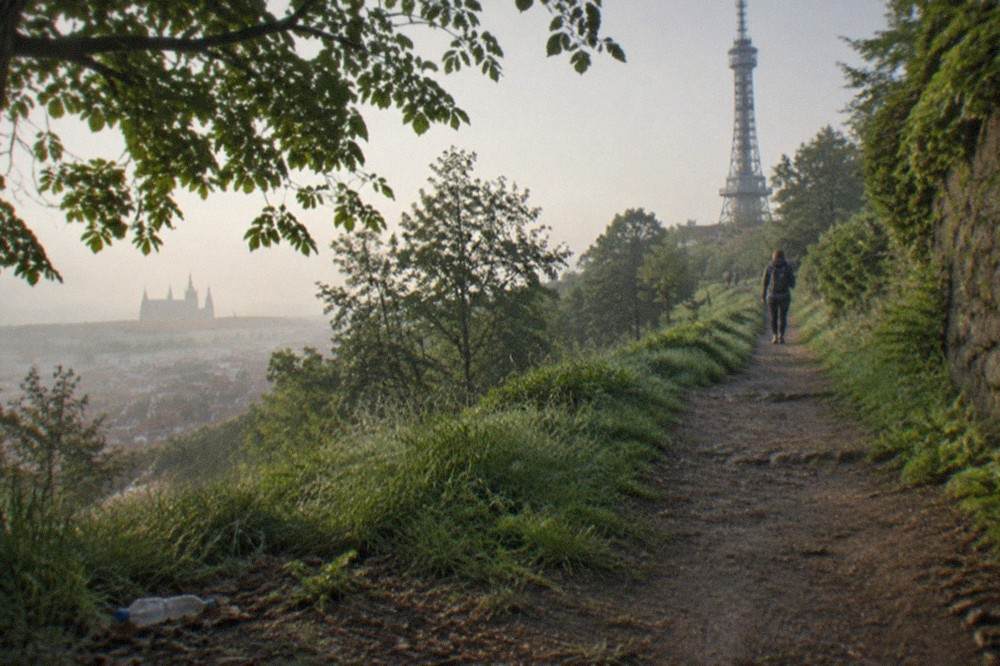 Wooded hillside path leading up through trees toward a steel framework tower