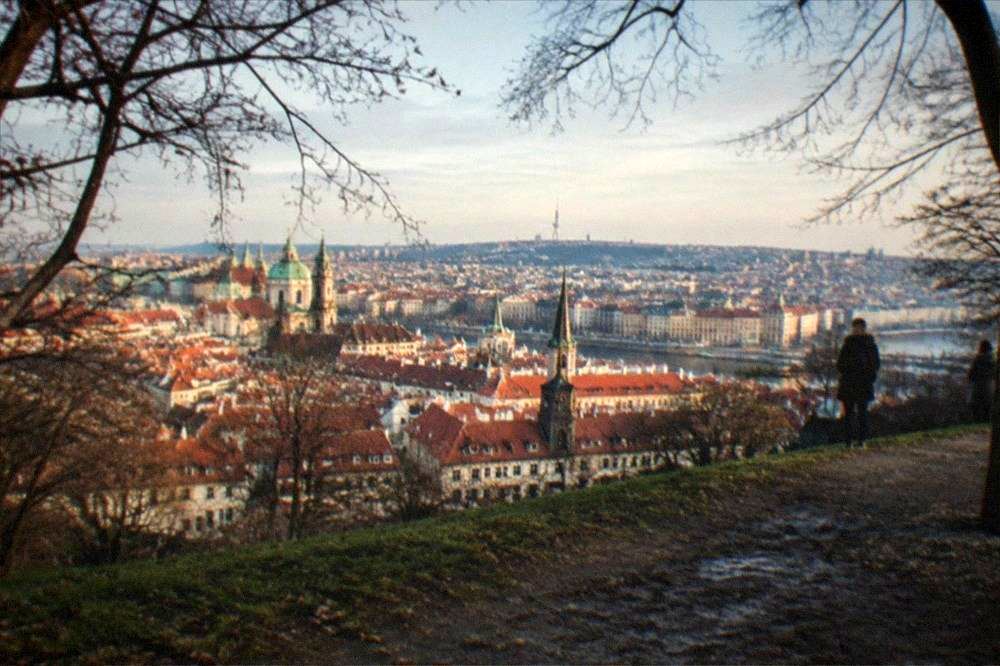 Panoramic view over red rooftops and church spires of a city seen from a wooded hilltop clearing