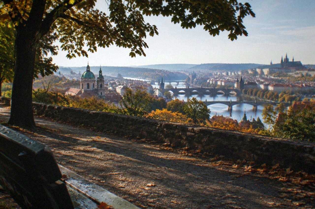 Prague rooftops and church spires seen from a hillside park above the Vltava river