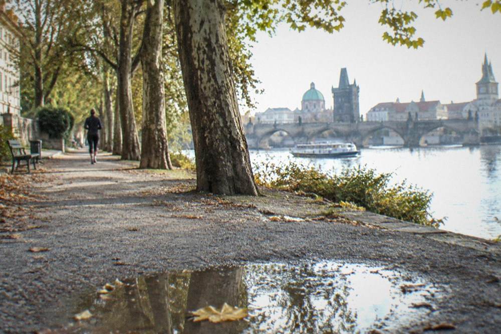Un camino tranquilo en un parque de una isla en Praga, con árboles y el río al fondo