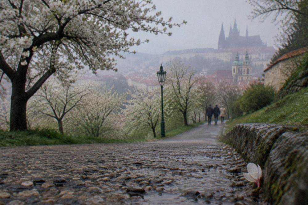 A tree-lined gravel path climbing through parkland toward a hilltop