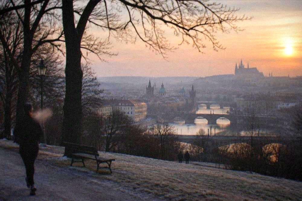 Bare winter trees on a Prague hillside with the city spires visible in the distance